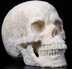 Huge 5.1" White Coral Carved Crystal Skull, Realistic