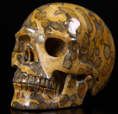 2.4" Petrified Fossil Carved Crystal Skull, Realistic