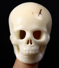 2.0" Tagua Nut Carved Crystal Skull, Hollow