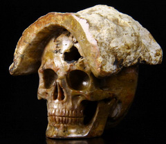 2.4" Petrified Wood Carved Crystal Skull Sculpture