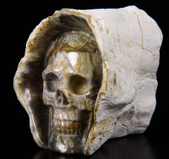 2.8" Petrified Wood Carved Crystal Skull, Realistic