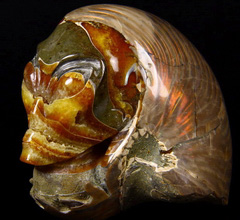 AMAZING FLASH HUGE GEODE 5.4" Ammonite Fossil Carved Crystal Alien Skull
