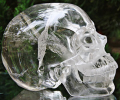 Clear Lifesized 7.1" Quartz Rock Crystal Carved Crystal Skull, Super Realistic