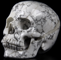 HUGE 5.0" Howlite Carved Crystal Skull, Super Realistic