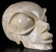 HUGE 5.1" Coral Fossil Star Being Female Alien Crystal Skull Companion Hand Carved Gemstone Fine Art Sculpture, Reiki Healing Stone Statue