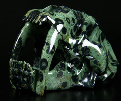 AMAZING GIANT 7.2" Kambaba Jasper Carved Crystal SkullSmilodon SABER-TOOTHED Tiger/Cat Skull, Realistic
