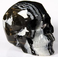 HUGE 5.2" Black Zebra Agate Carved Crystal Skull, Super Realistic