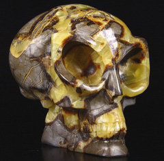 HUGE 5.5" Dragon Septarian Stone Carved Crystal Alien Skull