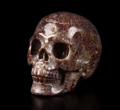 Gemstone 1.2" Dinosaur Sauropoda Bone Fossil Carved Crystal Skull, Realistic