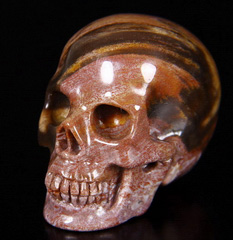 1.8" Petrified Wood Carved Crystal Skull, Realistic
