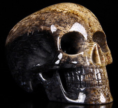 HUGE 5.1" Bug Fossil Agate Carved Mitchell-Hedges Crystal Skull Replica, Skull of Doom