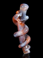 Fine Gemstone Mozambique Agate Carved Crystal Snake with Coral Branch Pendant #4804761