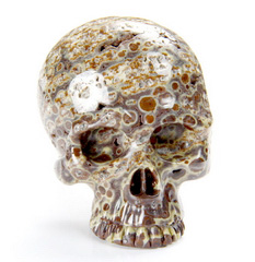 Asteroid Jasper Carved Crystal Skull Buckle