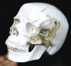 Huge 4.6" White Chalcedony Carved Crystal Skull, Super Realistic