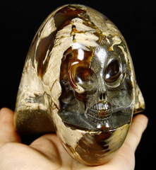 HUGE 5.2" Ammonite Fossil Carved Crystal Alien Skull