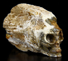 HUGE 3.3" Petrified Wood Branch Carved Crystal Alien Skull