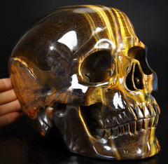 Awesome Flash Gemstone Lifesized 7.5" Gold Tiger Eye Carved Crystal Skull, Super Realistic