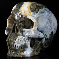 Lifesized 6.8" Ocean Jasper Carved Crystal Skull, Super Realistic