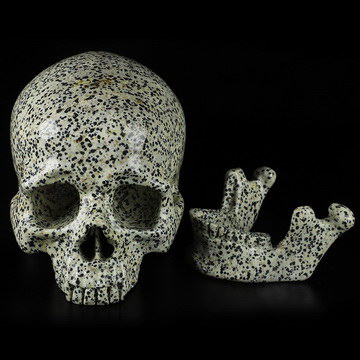 Lifesized 7.3" Dalmatian Jasper Carved Crystal Skull, Detachable