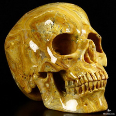 Lifesized 6.7" Crazy Lace Agate Carved Crystal Skull, Super Realistic
