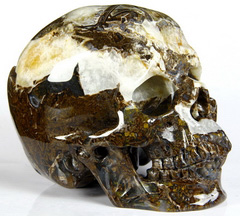 Huge 5.2" Tree Leaves Agate Carved Crystal Skull, Super Realistic