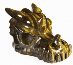 Huge 5.2" Gold Tiger Eye Carved Crystal Dragon Skull