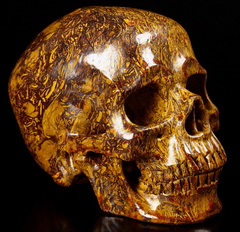 Huge 5.3" Elephant Skin Jasper aka Miriam Stone, Calligraphy Stone, Cobra Jasper Carved Crystal Skull, Super Realistic