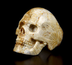 Gemstone Size 7, Coral Fossil Carved Crystal Skull Ring