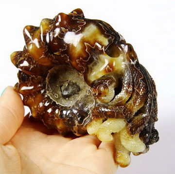 Nice 3.3" Ammonite Fossil Carved Crystal Skull with Octopus Tentacles