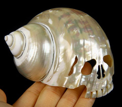 3.8" Shell Carved Crystal Skull