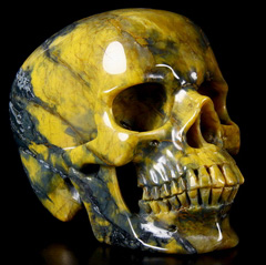 Gemstone Huge 5.7" New Pietersite Carved Crystal Skull, Super Realistic