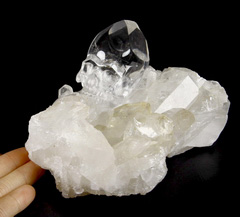 Huge 5.1" Quartz Druse Carved Crystal Skull