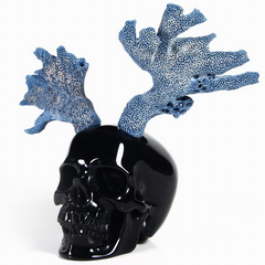 Huge 5.0" Black Obsidian Carved Crystal Skull with Blue Sponge Coral Horns