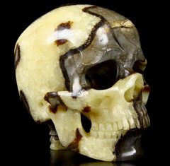 Huge 4.8" Dragon Septarian Stone Carved Crystal Skull with Spine