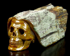 Huge 4.4" Petrified Wood Branch Carved Crystal Skull