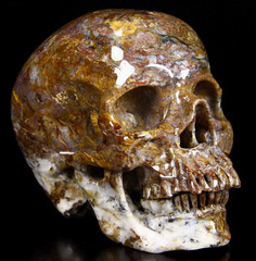 Gemstone Huge 5.6" Pietersite Carved Crystal Skull, Super Realistic
