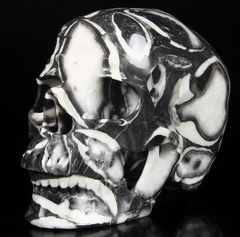 Lifesized 7.4" Sea Shell Marble Carved Crystal Skull, Super Realistic
