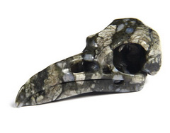 2.2" Que Sera Stone Llanite Carved Crystal Raven Skull Pendant