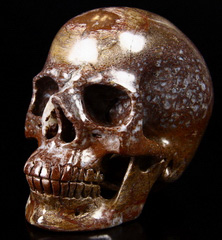 Gemstone 3.7" Dinosaur Sauropoda Bone Fossil Carved Crystal Skull, Super Realistic
