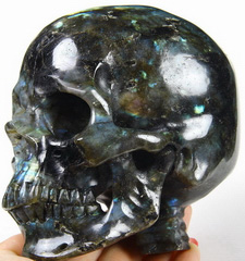 Huge 4.9" Labradorite Carved Crystal Skull with Spine