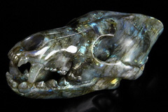 Huge 7.7" Labradorite Carved Crystal Wolf Skull Sculpture