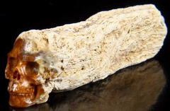 2.4" Petrified Wood BRANCH Carved Crystal Skull