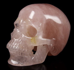 Huge 5.2" Rose Quartz Carved Crystal Skull, Super Realistic