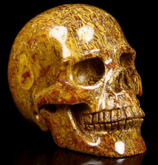 2.4" Elephant Skin Jasper aka Miriam Stone, Calligraphy Stone, Cobra Jasper Carved Crystal Skull, Realistic