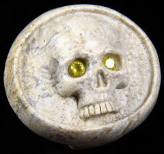 Coral Fossil Carved Crystal Skull Buckle with Cubic Zirconia Eyes