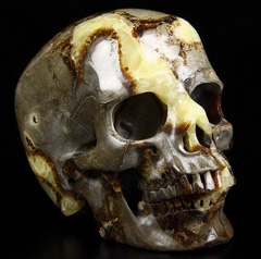 Huge 5.1" Dragon Septarian Stone Carved Crystal Skull,Super Realistic