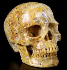 Huge 5.2" Crazy lace Agate Carved Crystal Skull,Super Realistic