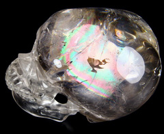 Rainbow Clear Lifesized 6.7" Smoky Quartz Rock Crystal Carved Crystal Skull, Detachable