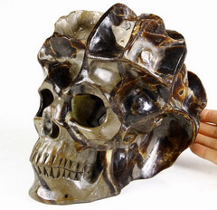 Amazing Specimen 7.4" Dragon Septarian Stone Carved Crystal Skull Sculpture