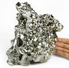 Amazing Lifesized 6.9" Pyrite Druse Carved Crystal Skull Sculpture